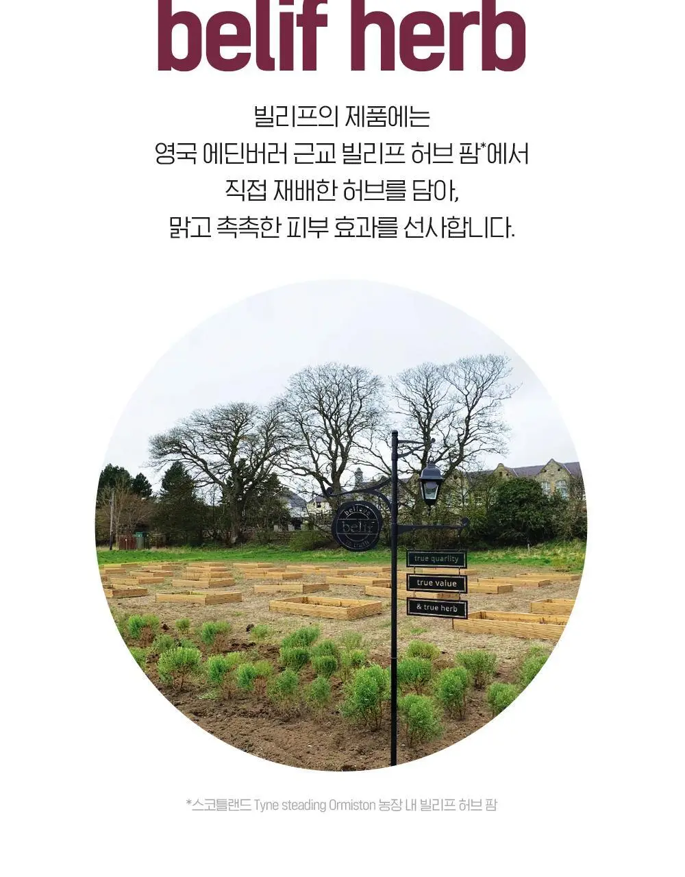 [NEW 올인원] 빌리프 맨올로지 콜라겐 익스트림 올인원 100ml 상세페이지 38